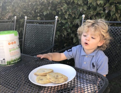 Easy pancake recipe with grass-fed toddler milk
